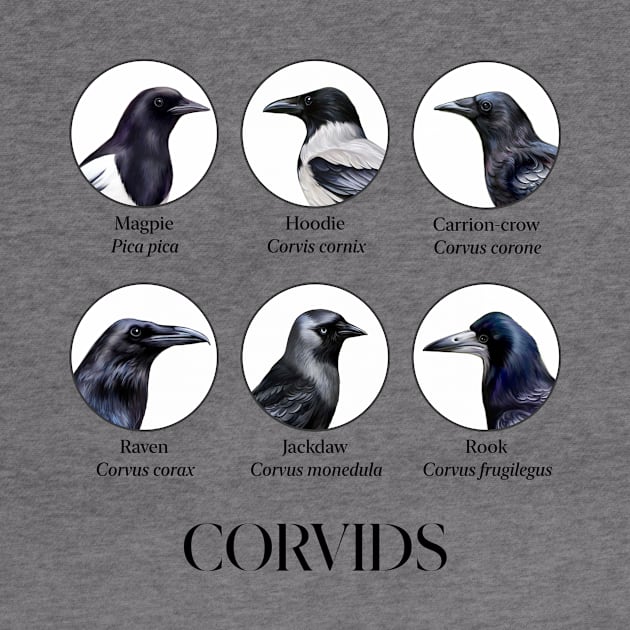 Corvid Chronicles by Outpost 111